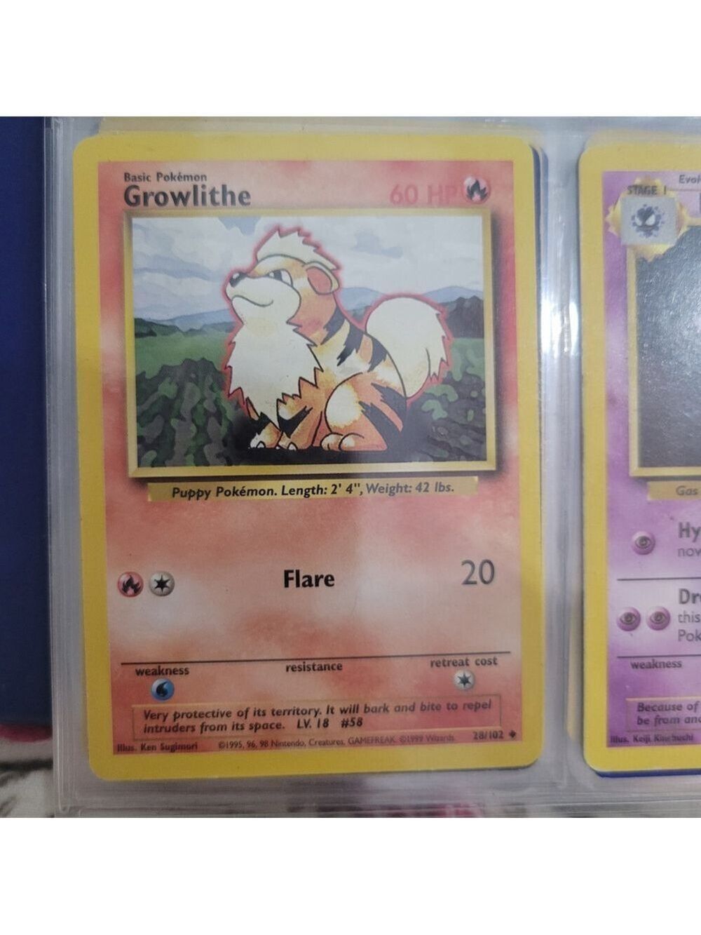 Pokemon Growlithe Card